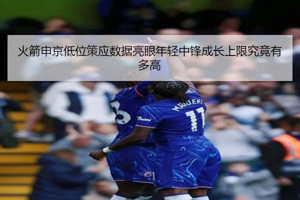 火箭申京低位策应数据亮眼年轻中锋成长上限究竟有多高