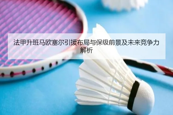 法甲升班马欧塞尔引援布局与保级前景及未来竞争力解析